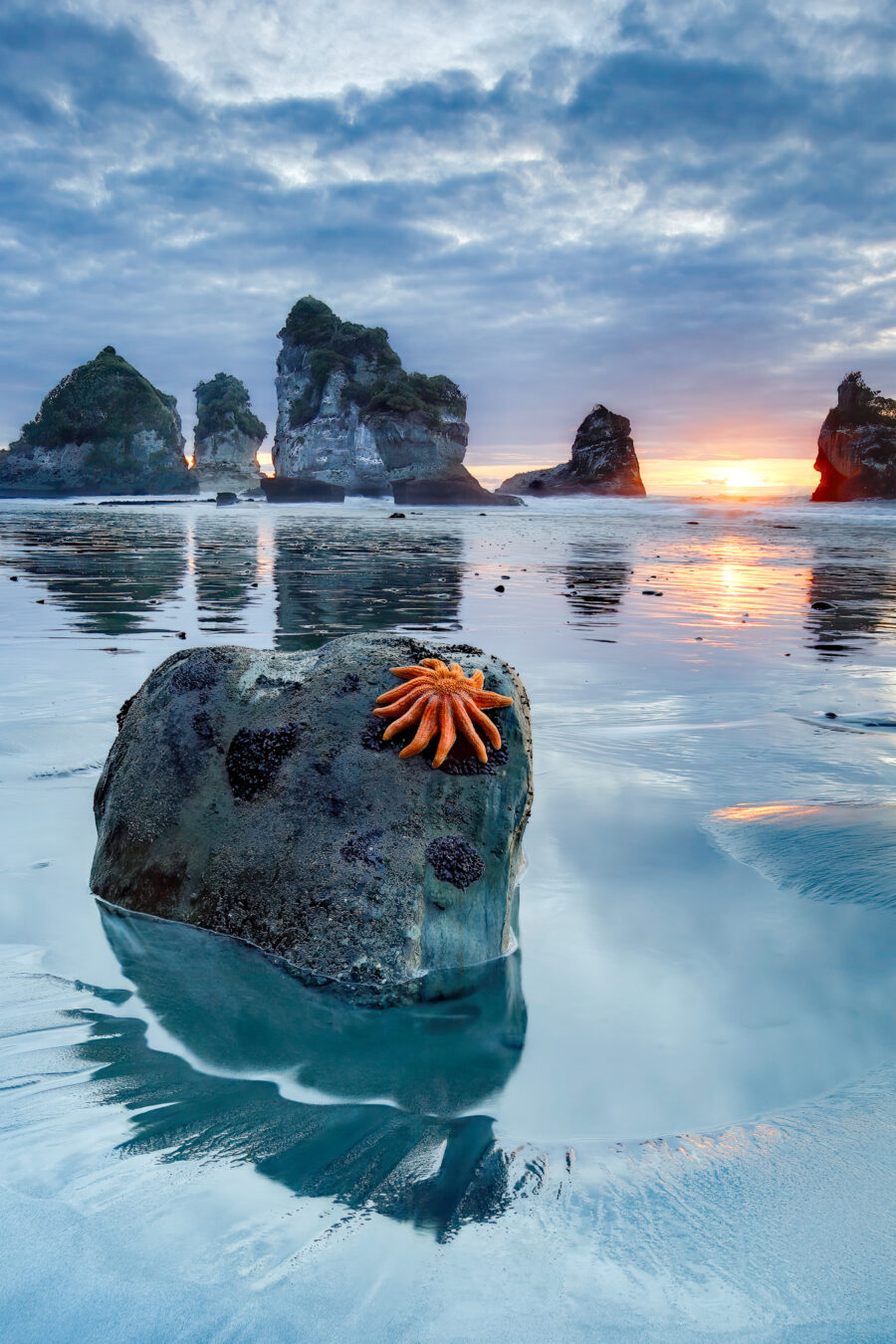 Presse shows getfile 18