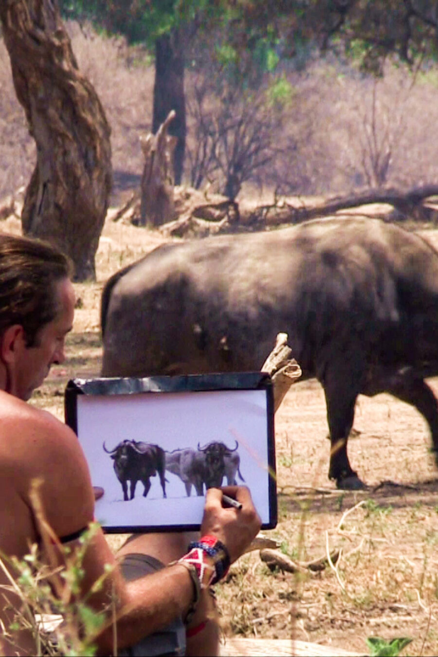 Presse shows getfile 25