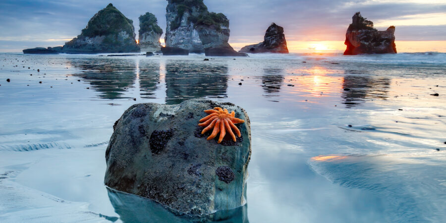 Presse shows getfile 18